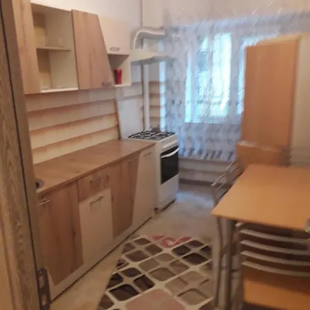 Apartmán Apartament Pictor Tonita